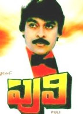 Puli 1985