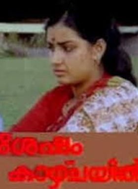 ശേഷം   കാഴ്ചയില്‍