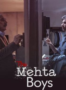 The Mehta Boys