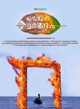 വെയില്‍ മരങ്ങള്‍