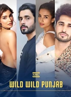 Wild Wild Punjab