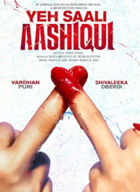 Yeh Saali Aashiqui