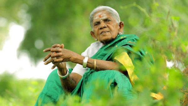 ಸಾಲುಮರದ ತಿಮ್ಮಕ್ಕ