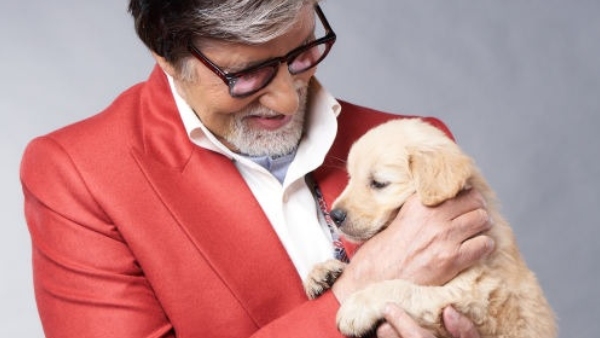 Amitabh Bachchan