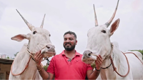 ಆಸ್ತಿ ಭಾಗ