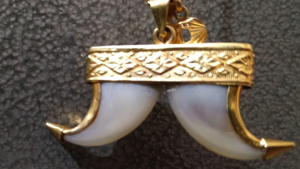 ಹುಲಿ ಉಗರು ಪ್ರಕರಣ