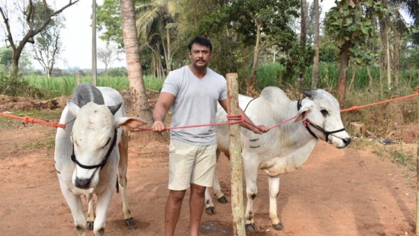 ಫಾರ್ಮ್‌ಹೌಸ್‌ ಮೇಲೆ ದಾಳಿ