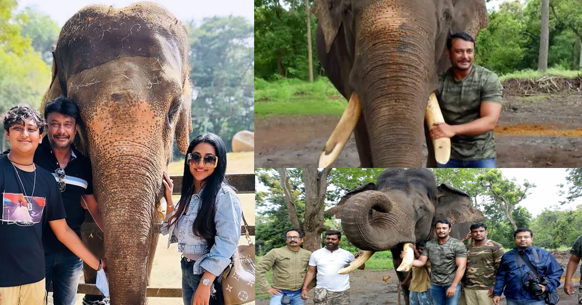 ದರ್ಶನ್ ಪ್ರಾಣಿ, ಪಕ್ಷಿ ಪ್ರೀತಿ