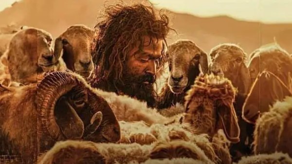 The Goat Life - Novel