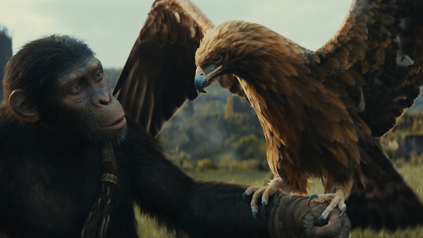 Kingdom Of The Planet Of The Apes Story