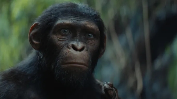 Godzilla x Kong: The New Empire Trailer