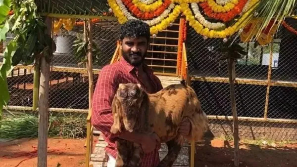 ಚಿಕ್ಕಣ್ಣ