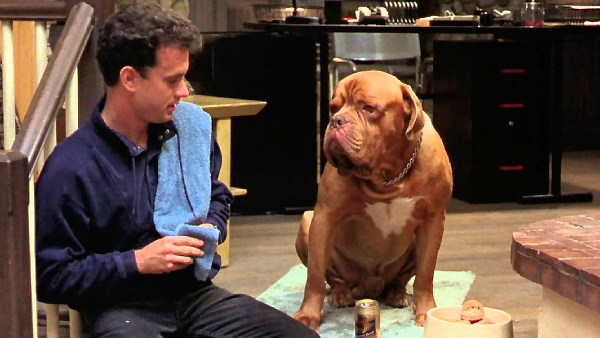 Turner & Hooch