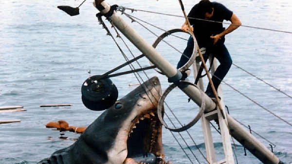 Jaws