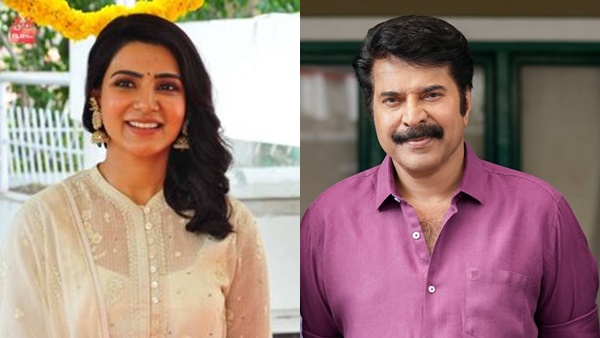 Fans' Excitement and Anticipation