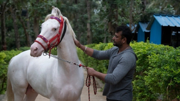 ಸಿನಿಮಾ ಸಂಭಾವನೆ