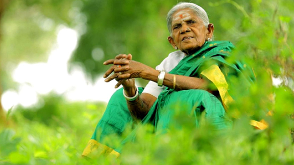 ಸಾಲುಮರದ ತಿಮ್ಮಕ್ಕ 