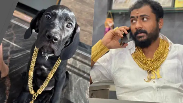 ಚಿನ್ನದ ಶರ್ಟ್ ಮಾಡಿಸಿಕೊಳ್ಳಬೇಕೆಂಬ ಆಸೆ