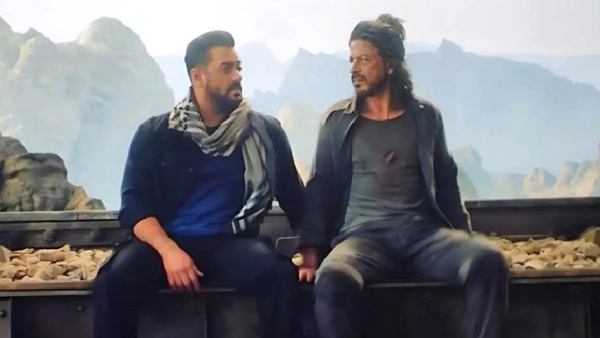 टाइगर वर्सेज पठान