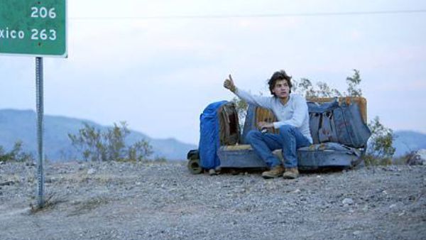 Into the Wild