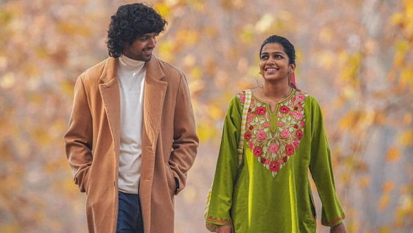 8 Vasantalu Movie Story Plot