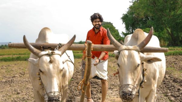 Why Sabari Became a Fan-Favorite Contestant