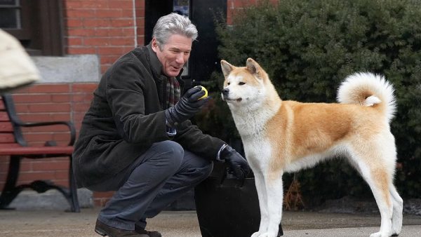 Hachi: A Dog's Tale 