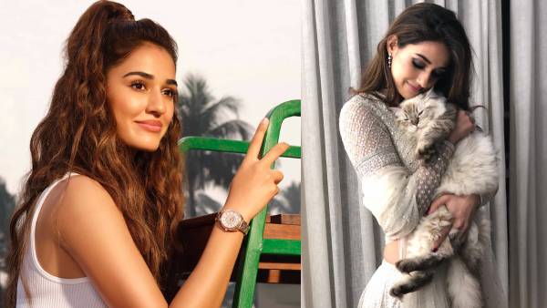 दिशा पाटनी