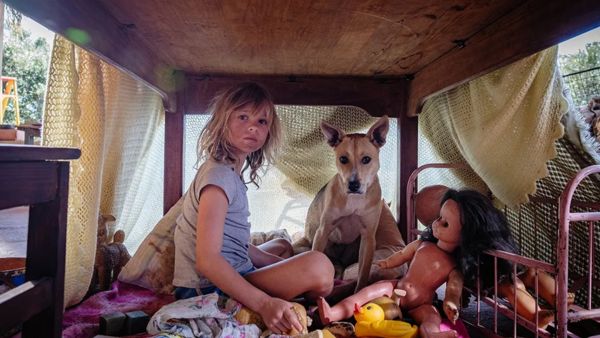 Don’t Let’s Go to the Dogs Tonight Story 