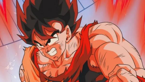 Dragon Ball Z: Season 5  Storyline