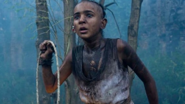 Earned crores of rupees at the box office