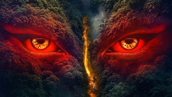 VVAN- Force of the forrest