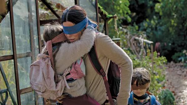 Bird Box