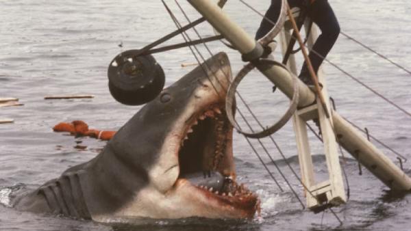 Jaws