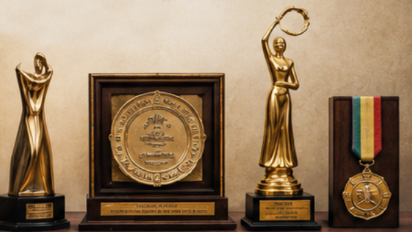 Awards, Recognition, and Legacy