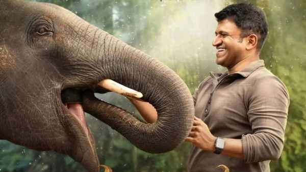 ಗಂಧದ ಗುಡಿ