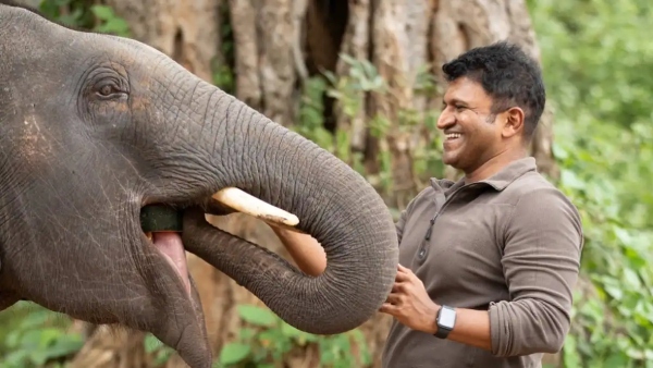 ಗಂಧದ ಗುಡಿ