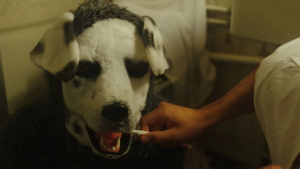 Why You Should Watch Good Boy on OTT 