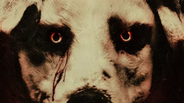 Good Boy OTT Release Details 