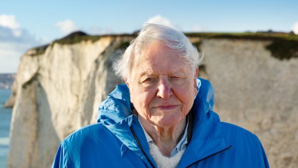 Gorilla Story: Told By David Attenborough Cast & Crew