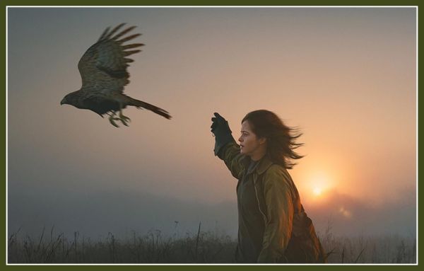 H Is for Hawk OTT Release Date & Platform