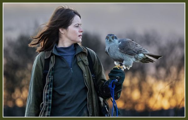 H Is for Hawk Plot Overview