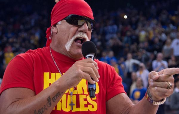 Hulk Hogan: Real American OTT Release Details