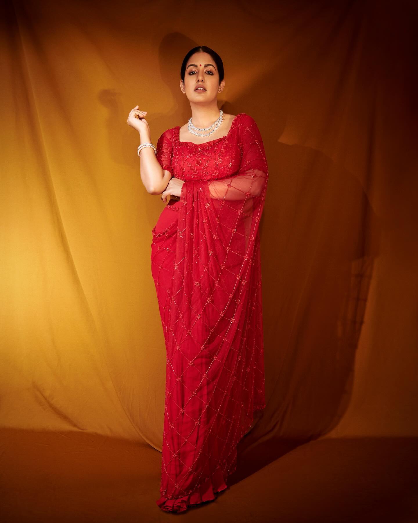Red Embroidered Net Saree