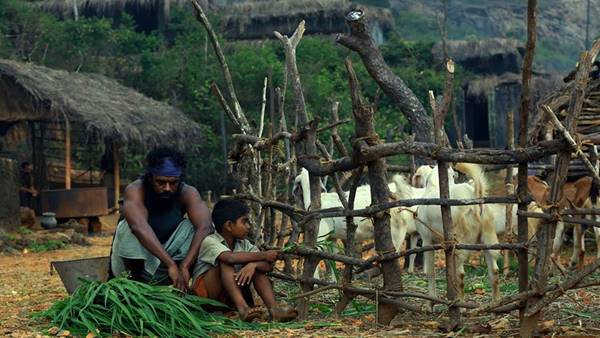 ഇയ്യോബിന്റെ പുസ്തകം