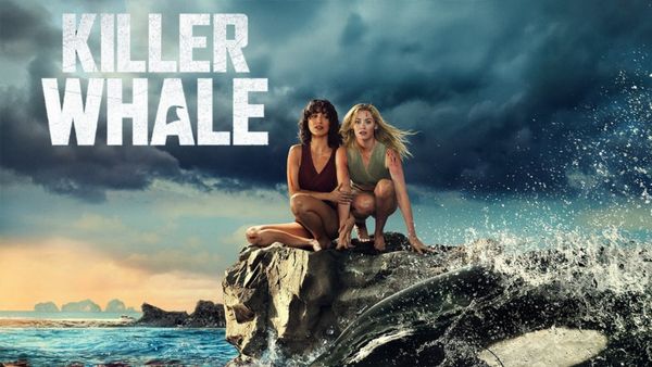 Killer Whale Plot Overview