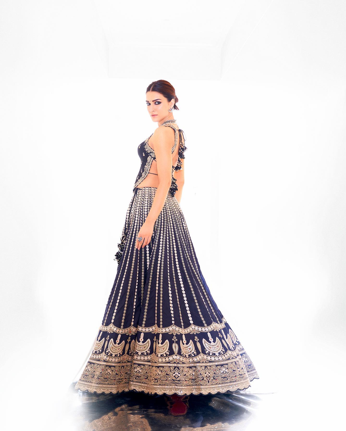 Backless Blouse With Embroidery Lehenga 