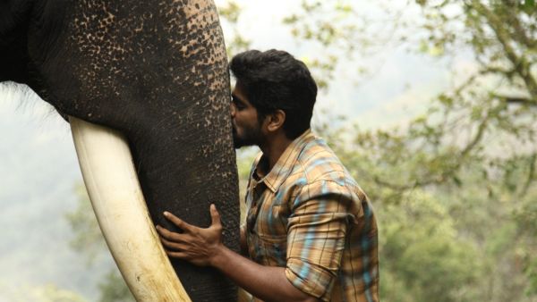 Performances and Music That Touch the Heart