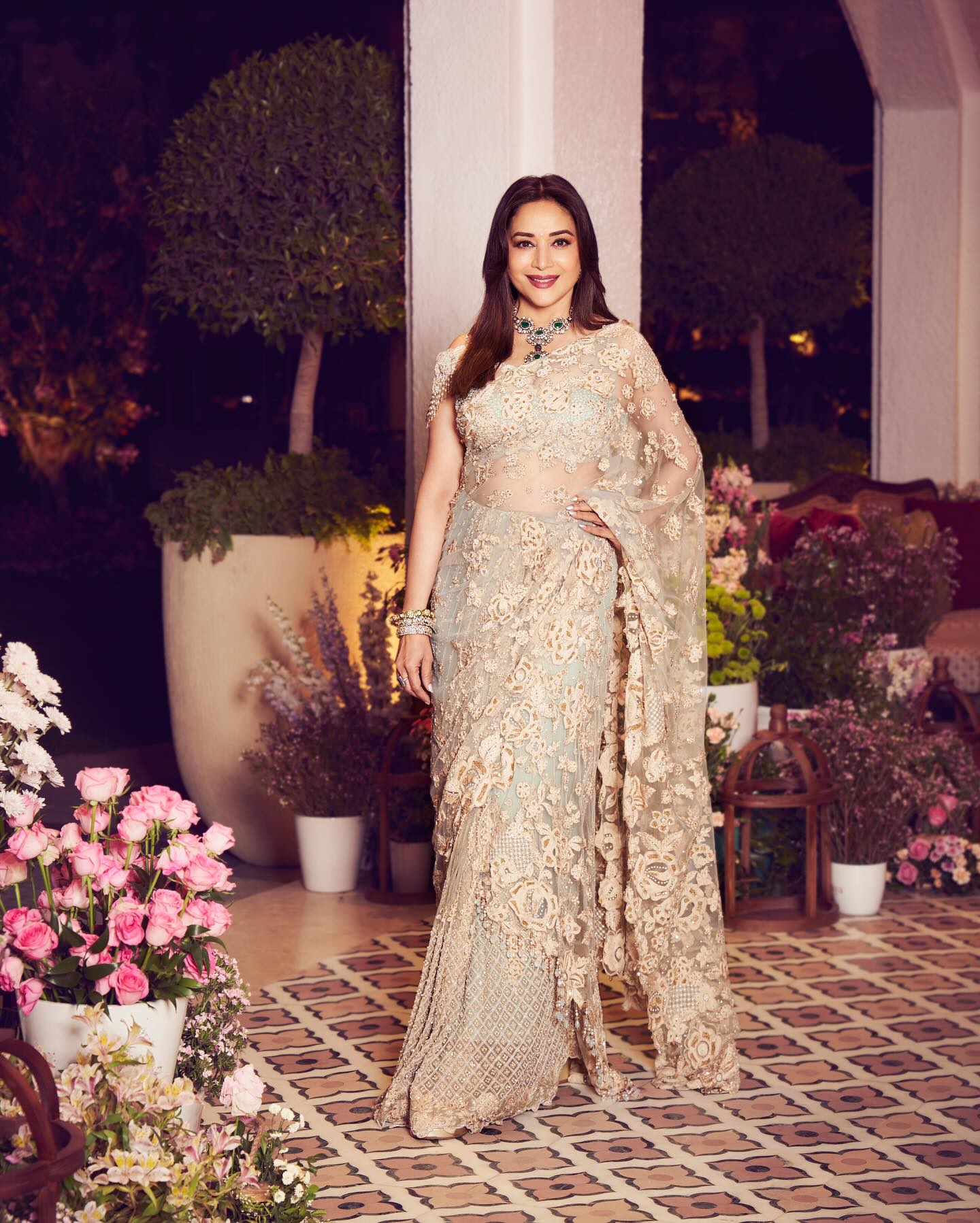 Embroidered Net Saree 