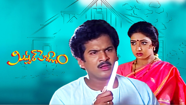 మిష్టర్ పెళ్ళాం